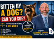 Dog Bite Claim in Georgia